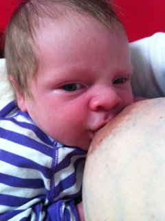 Breastfeeding at 2 weeks old